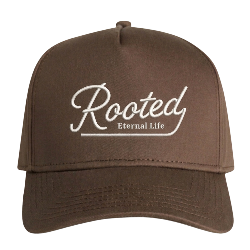 Brown Rooted Structured Hat